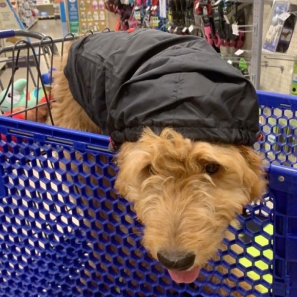 Meet your Posher, Kelli - Picture 2 of 3